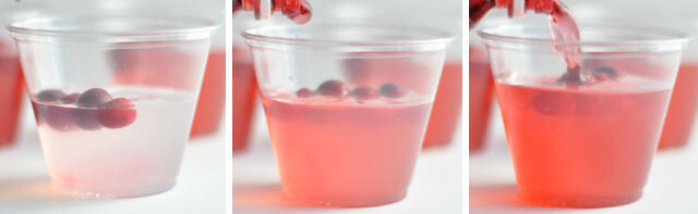 Cranberry Limeade Bubbly 4
