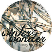 winterwonder170